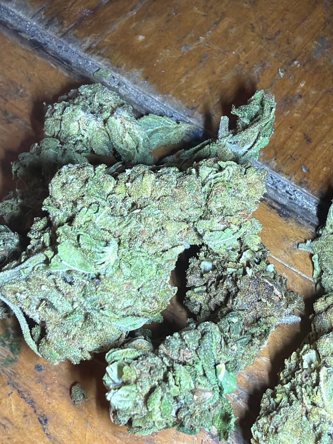 Customer photo review of Chem Dawg - 28 Grams - Hybrid