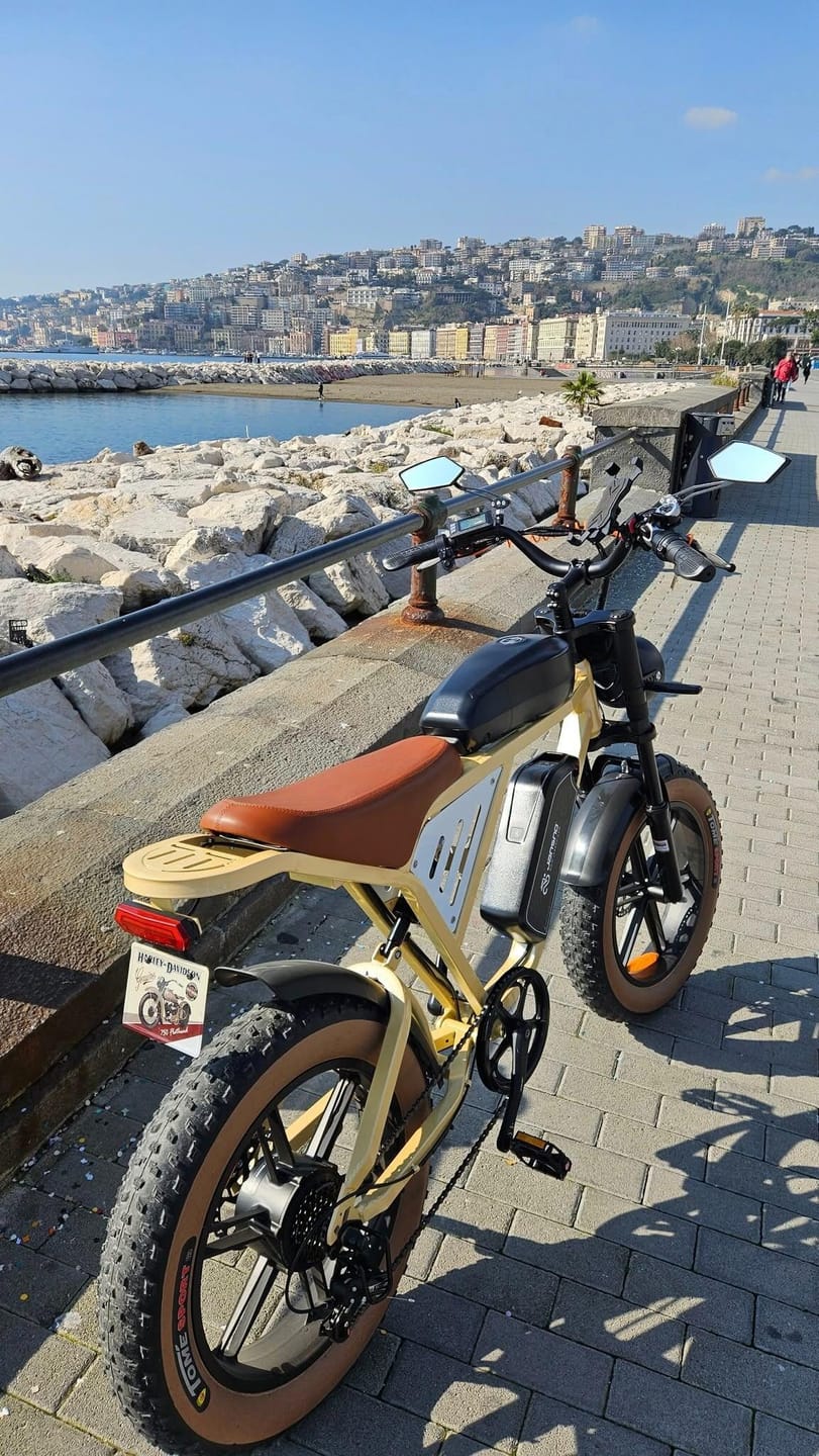 Customer photo review of JANSNO X70 Dual Battery Electric Bike