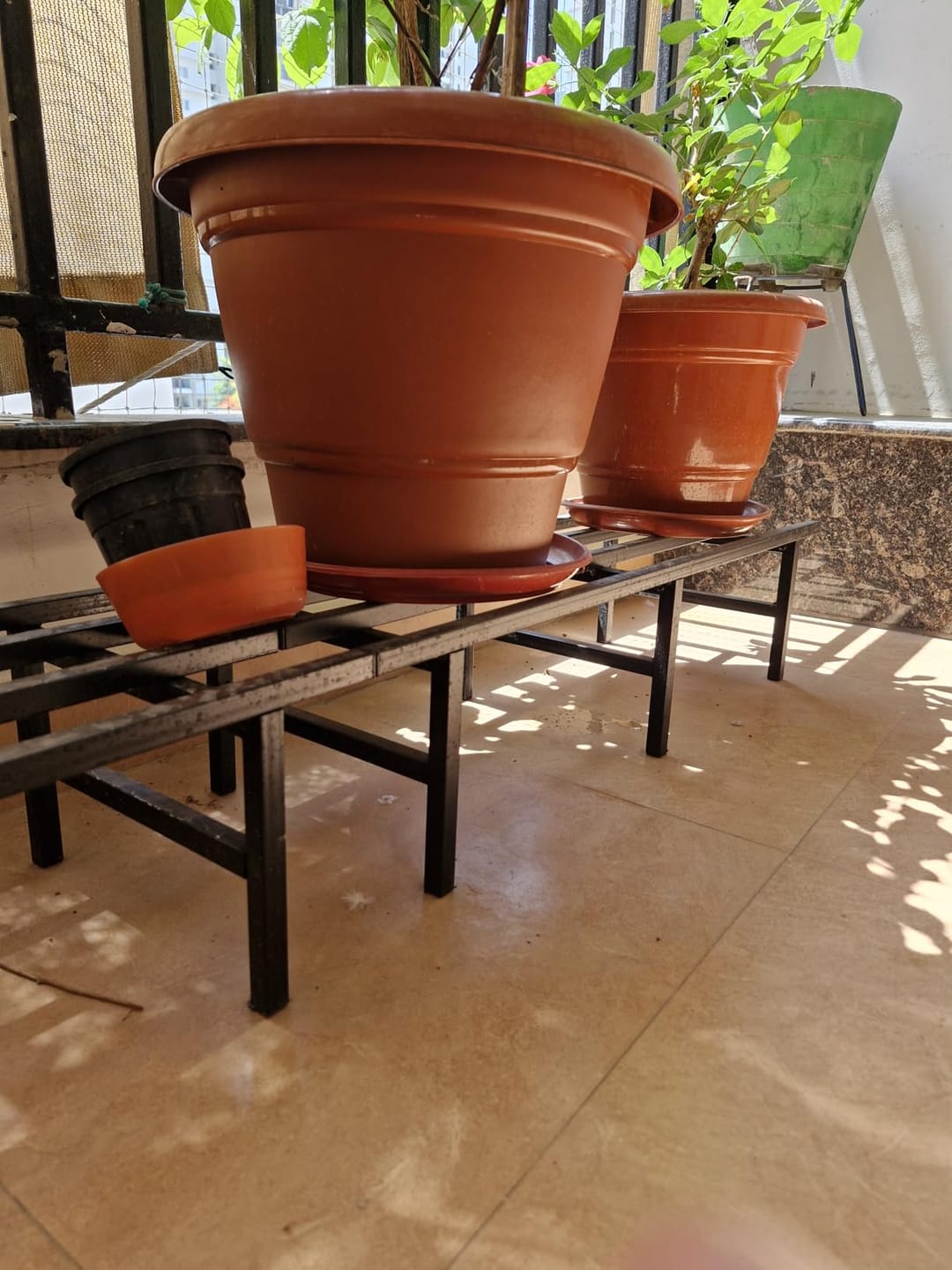 Customer photo review of Horizontal Metal Pot Stand (Set of 2 ) 76x24x18 Cm | Rust-Proof Matte Powder-Coated Pot Stand for Big Size Plants | Supports Up to 200 Kg| Ideal for Balcony, Outdoor and Indoor Plant Display