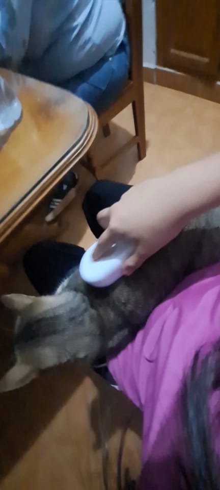 Customer photo review of Zovelta VaporBrush - Cepilla, masajea e hidrata