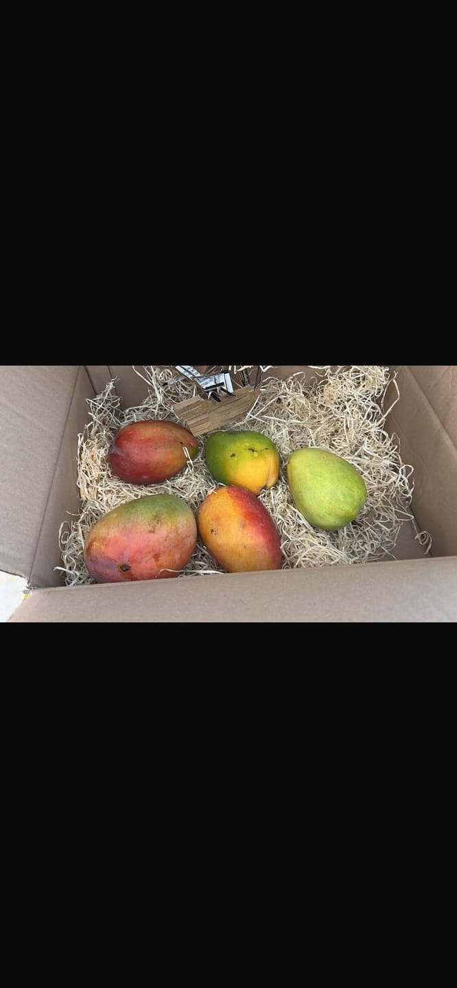 Customer photo review of Mango-Raritäten Mix von Julian