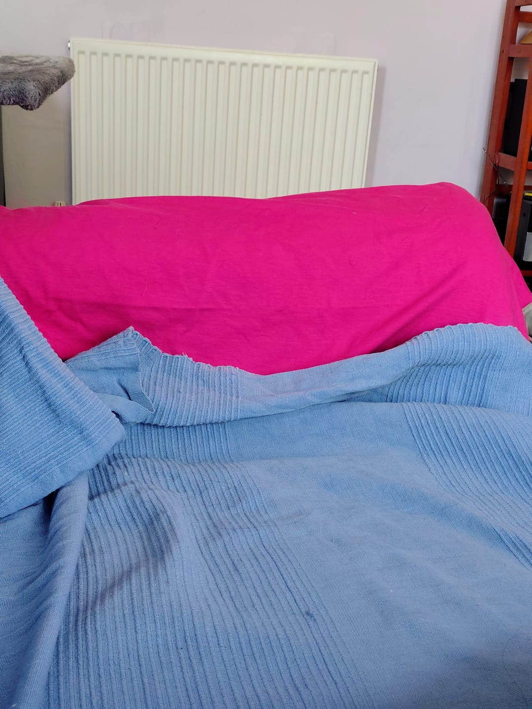 Customer photo review of Plain French Terry Fabric