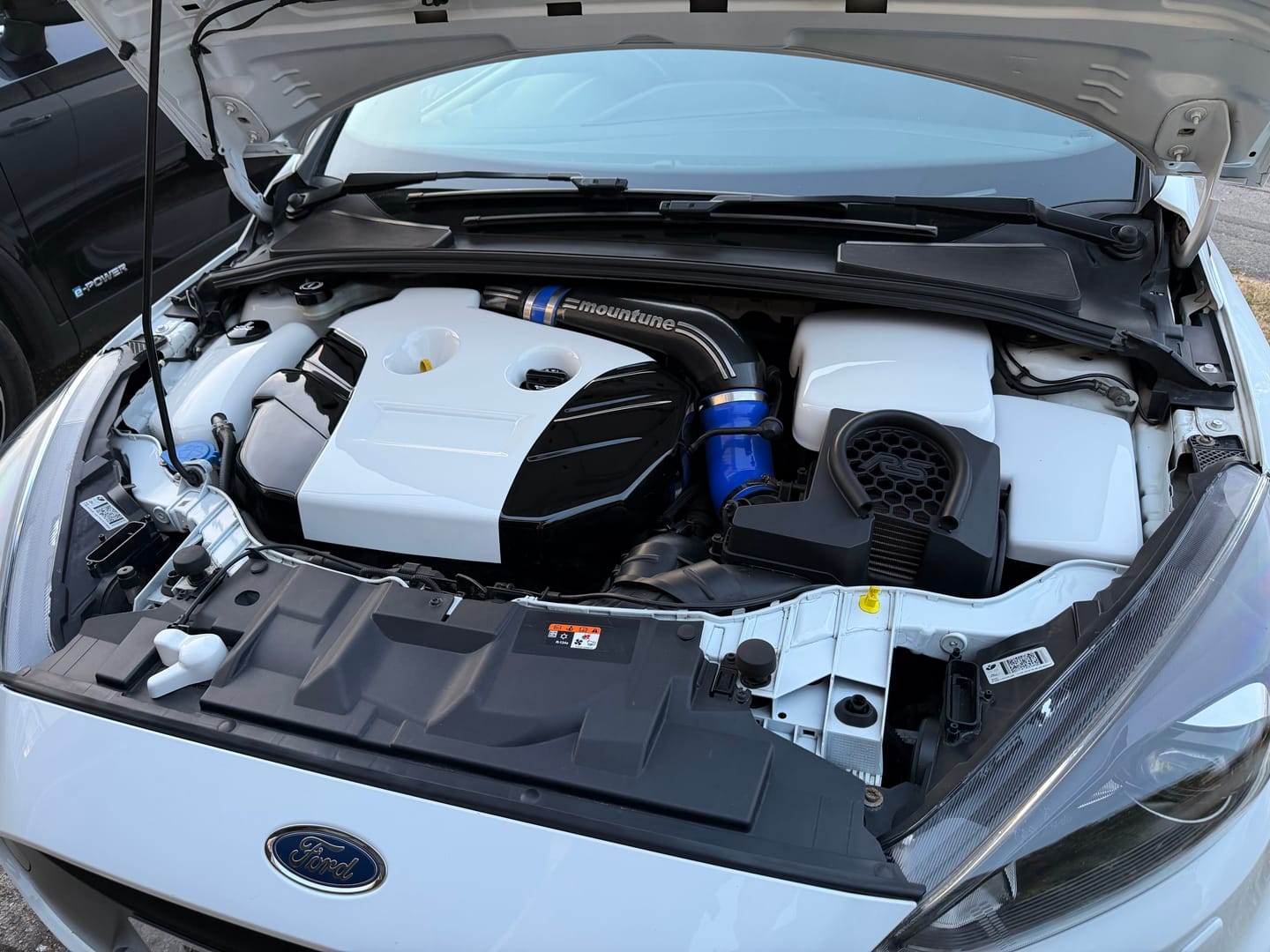 Customer photo review of Proform Small Engine Bay Dress Up Bundle - Mk3.5 Focus RS (Painted Finishes)