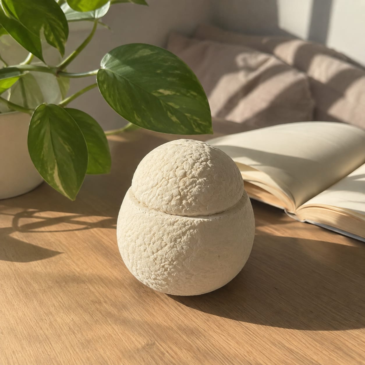 Customer photo review of LovFur™ Snowmelt Mycelium Pet Urn