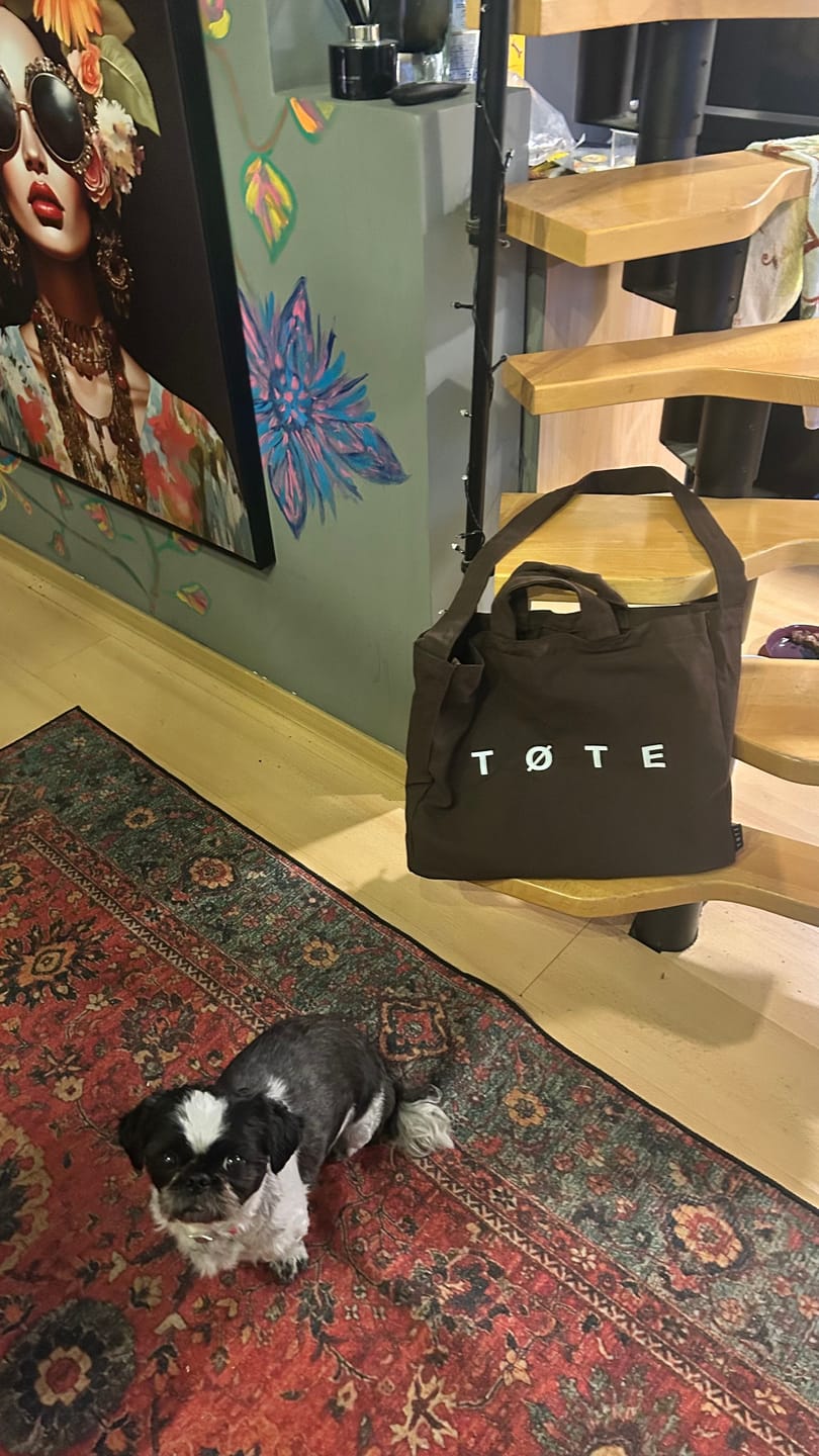 Customer photo review of Brown TØTE Bag