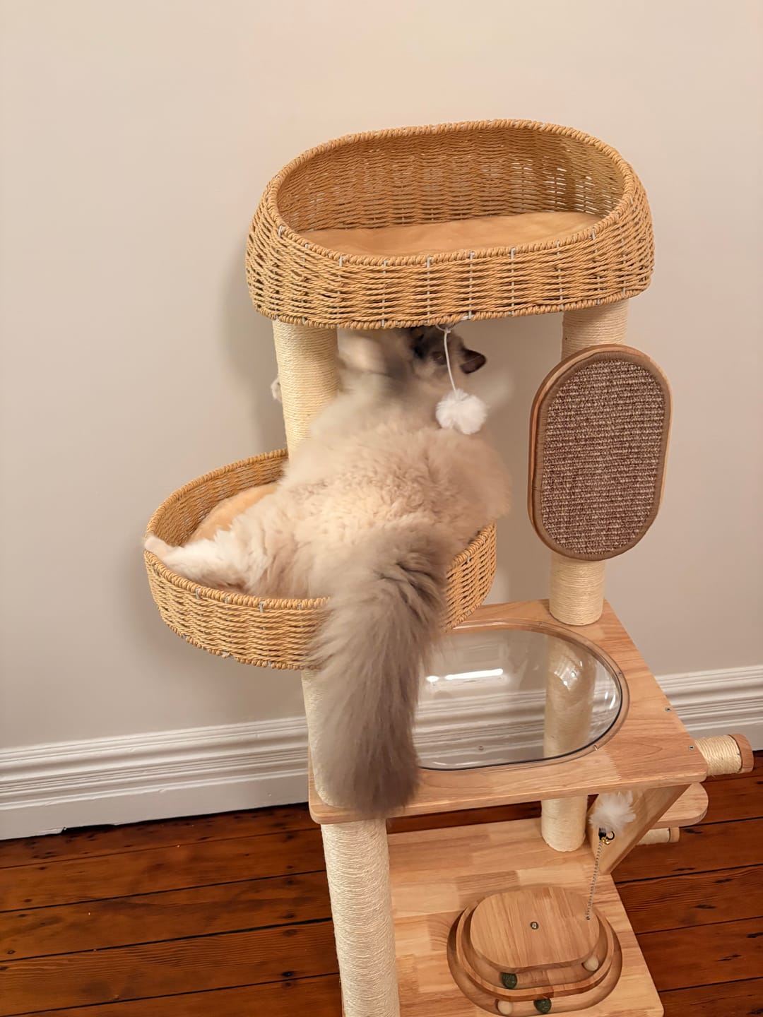 Customer photo review of 130cm Solid Oak Wood Cat Tree with Handwoven Rattan Canopy - WHH003