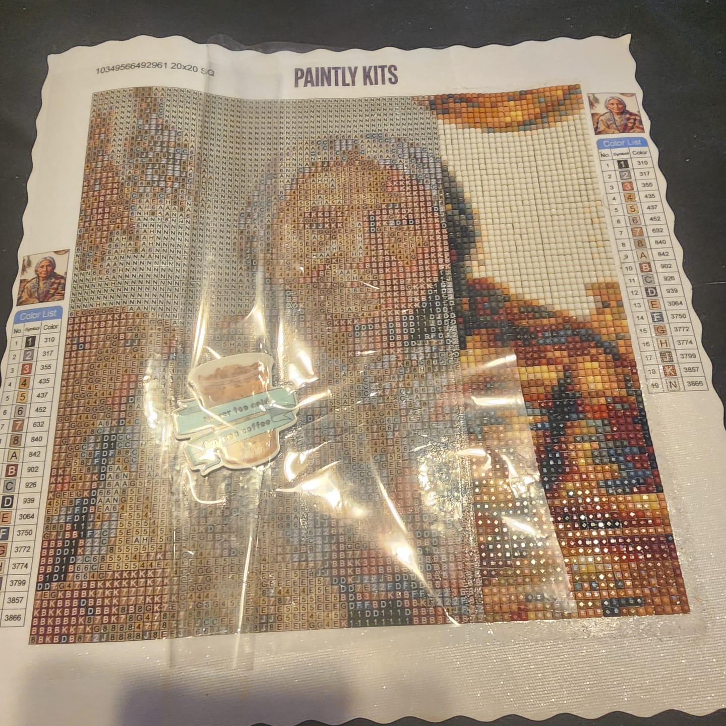 Customer photo review of Native American Elder (Diamond Painting)