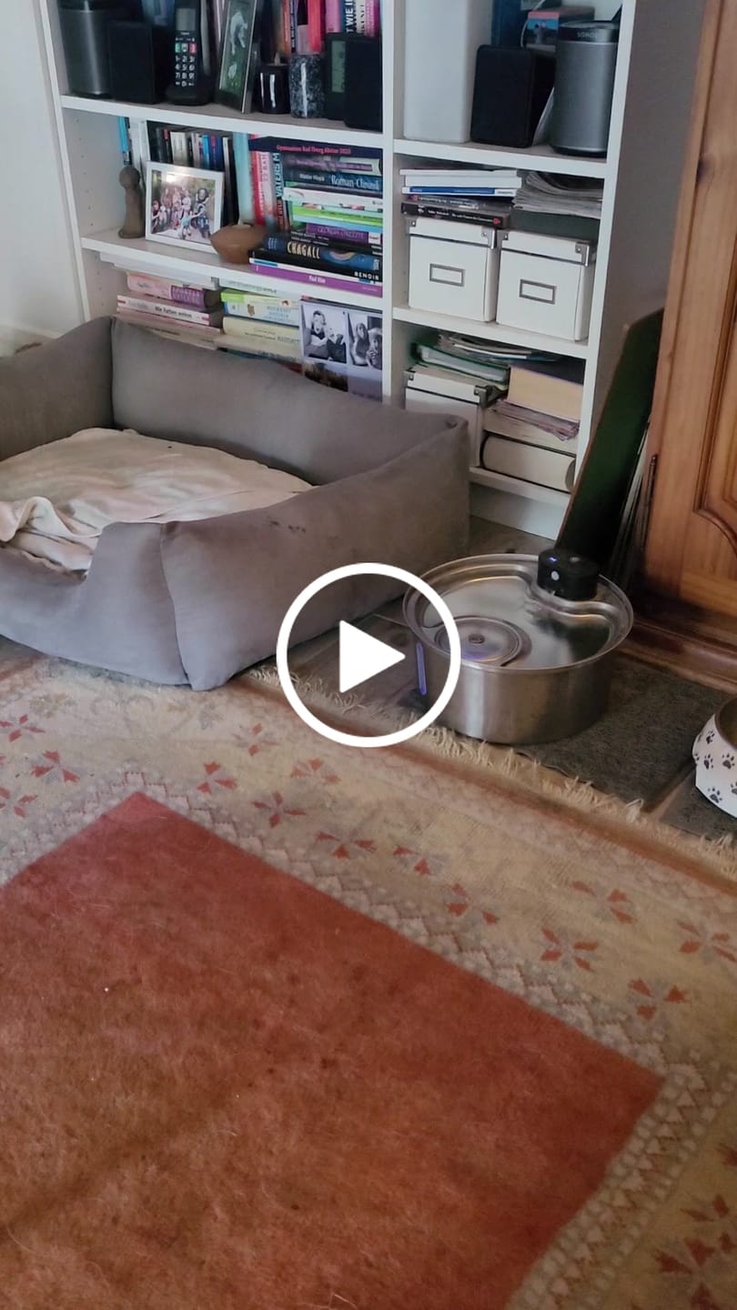 Customer video review of NordFlow 2.0 Hundebrunnen Filter Set