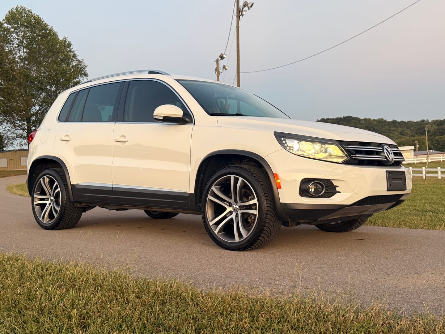 Customer photo review of Wheel Cleaner