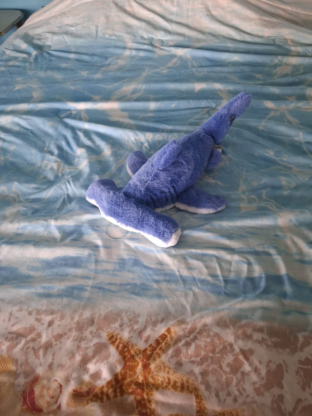 Customer photo review of The Hammerhead Plush
