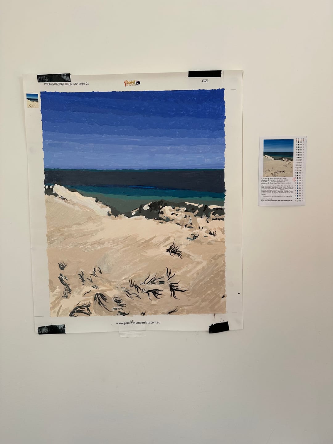 Customer photo review of Custom Paint By Numbers