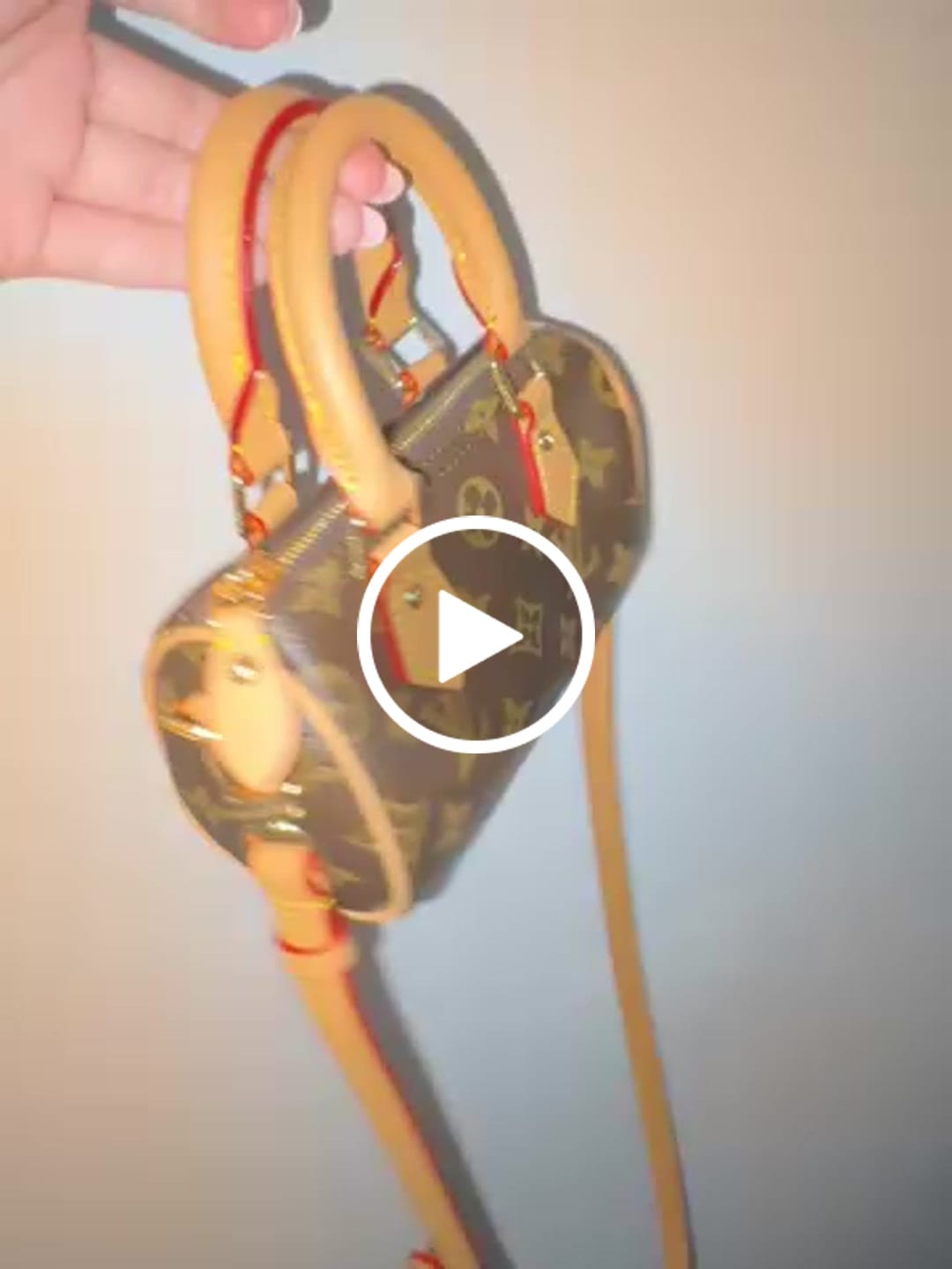 Customer video review of Louis Vuitton Speedy Nano Bag