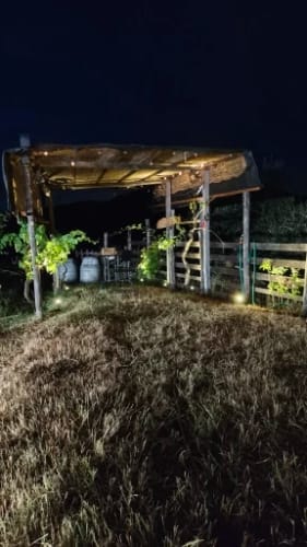 Customer photo review of Solar Garden Spotlights - 4-Pack IP65 Waterproof LED Light