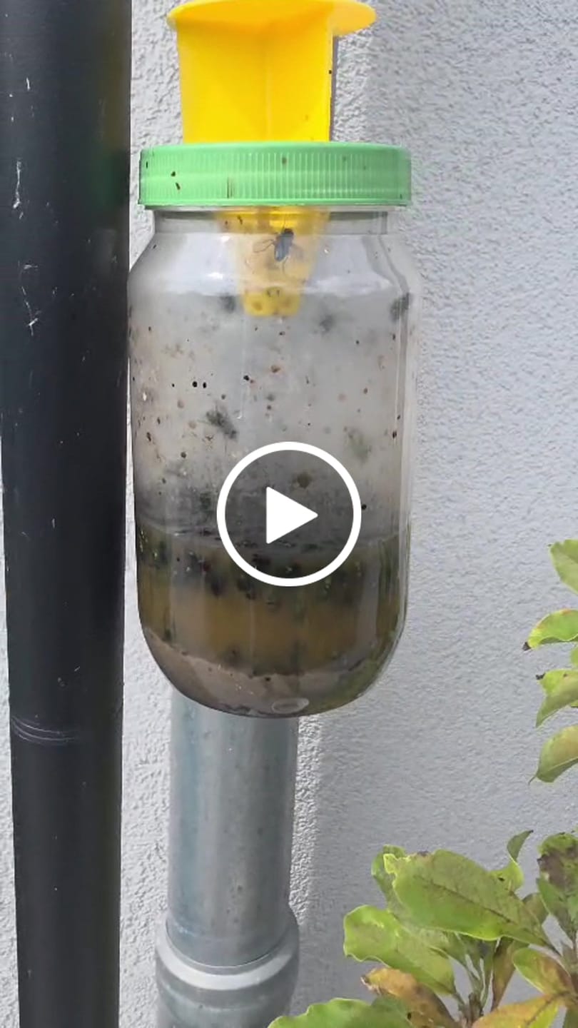 Customer video review of HorseSafe LiquidTrap – Schluss mit Fliegenstress auf deinem Hof