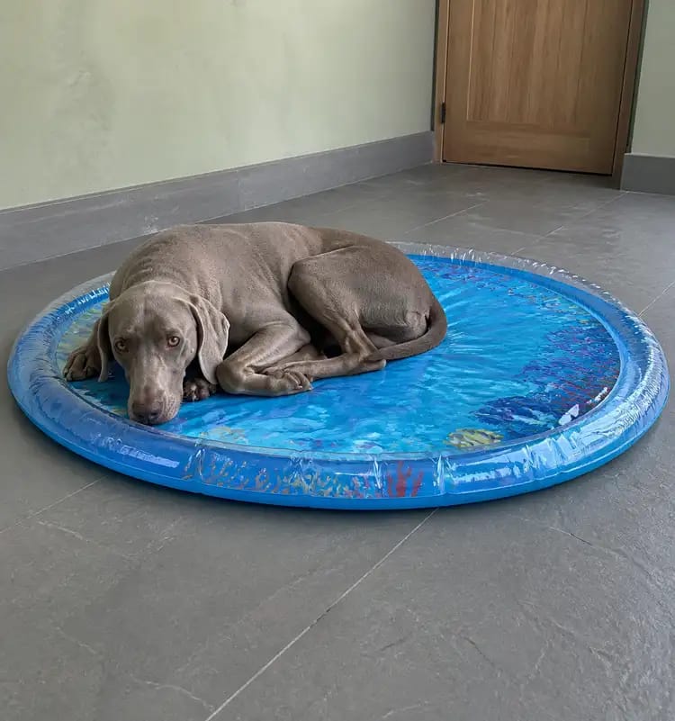 Customer photo review of Upgraded Nail-Resistant Cooling Water Bed