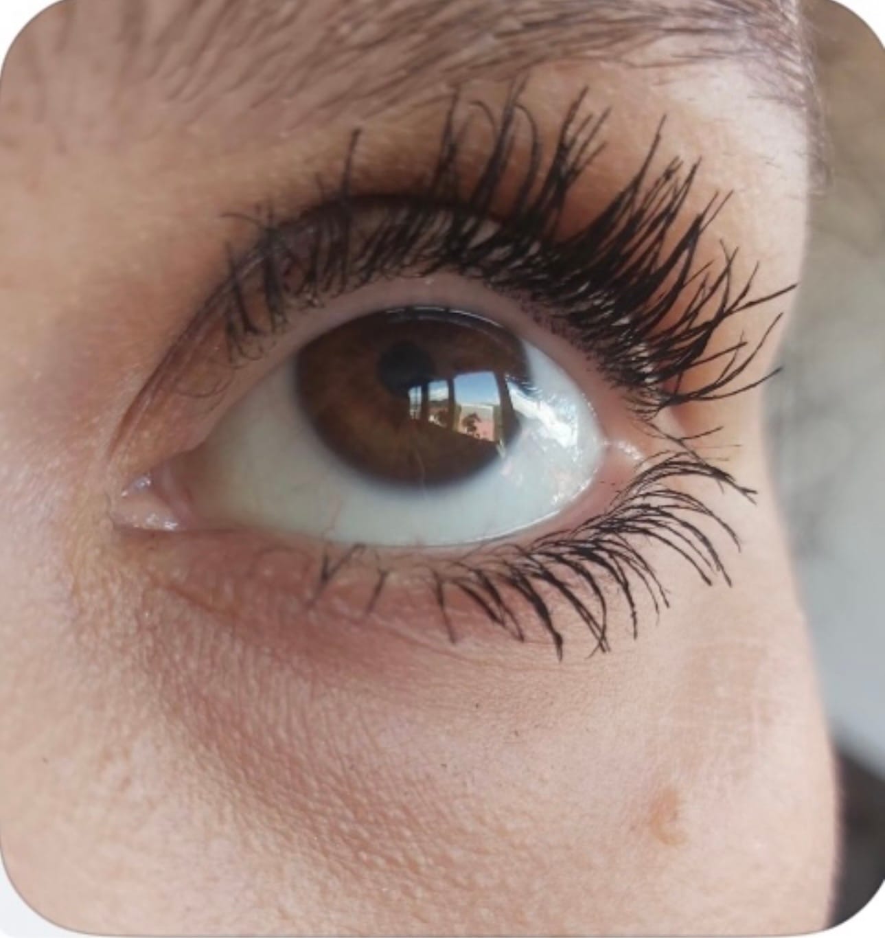 Customer photo review of All-In-One maskara Boujee Black