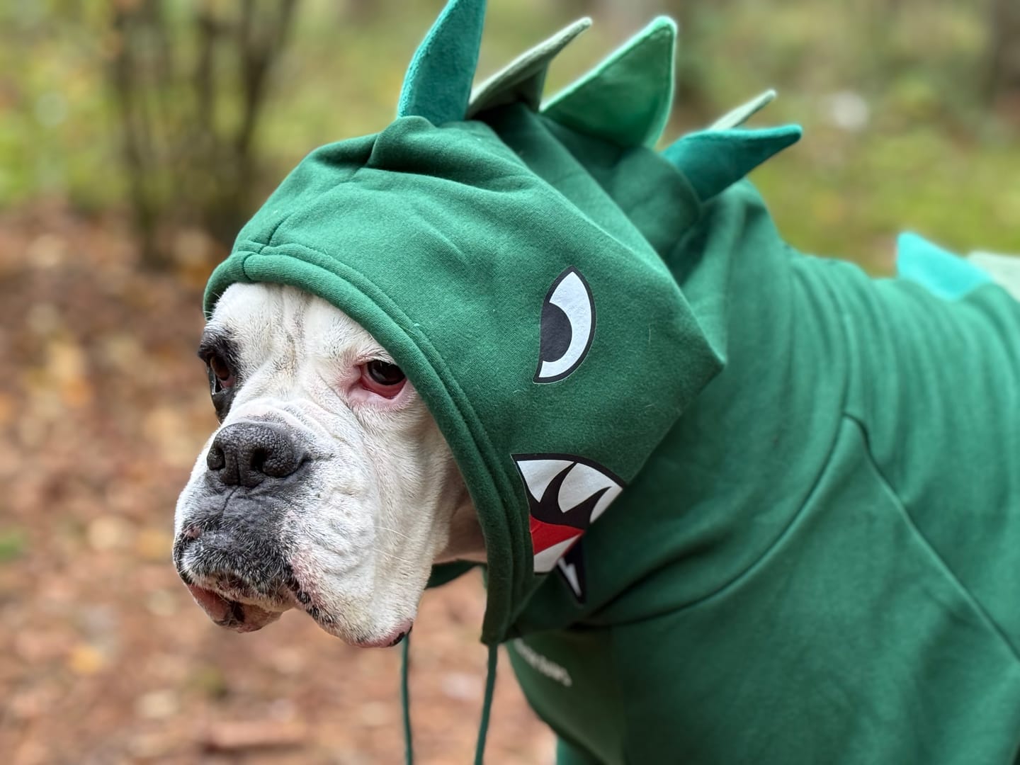 Customer photo review of Halloween Dog Hoodie - Dinosaur