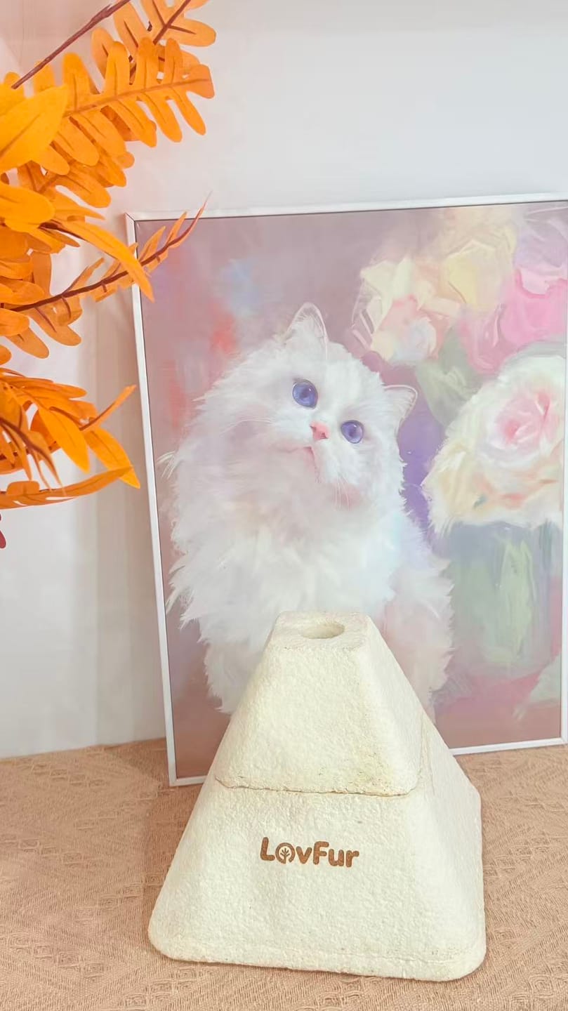 Customer photo review of LovFur™ Eternal Pyramid Mycelium Urn