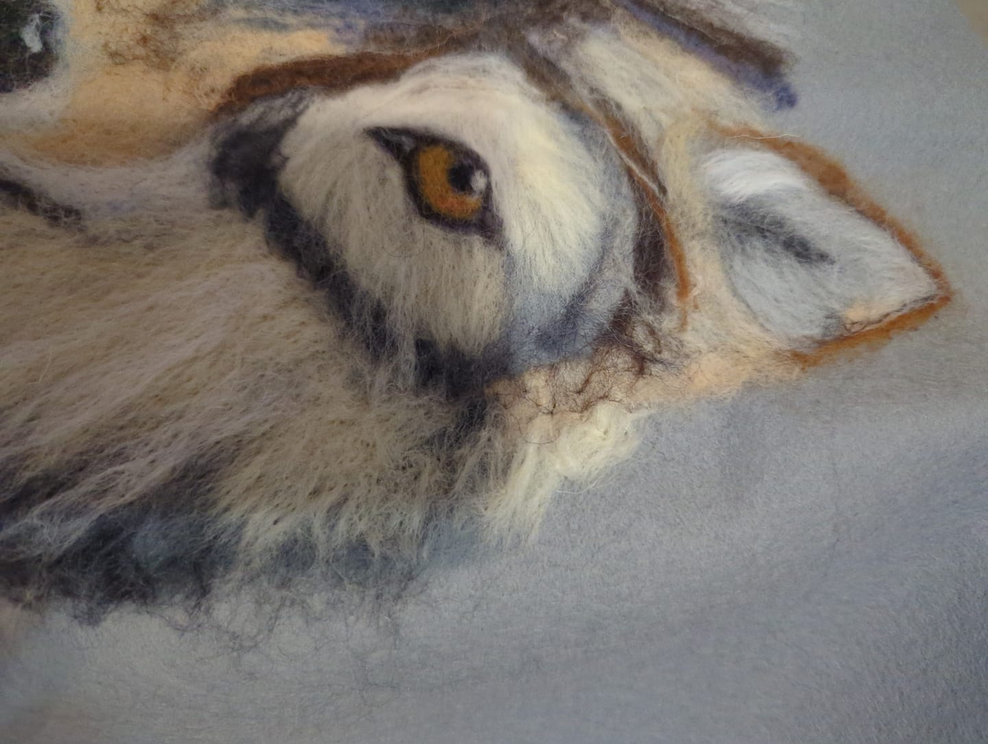 Customer photo review of Wool Felt