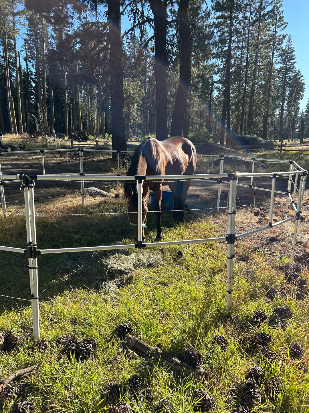 Customer photo review of Ready Made Portable Electric Horse Corral Fencing: (Electric EconoLine 2 Panels; 2 Rails)