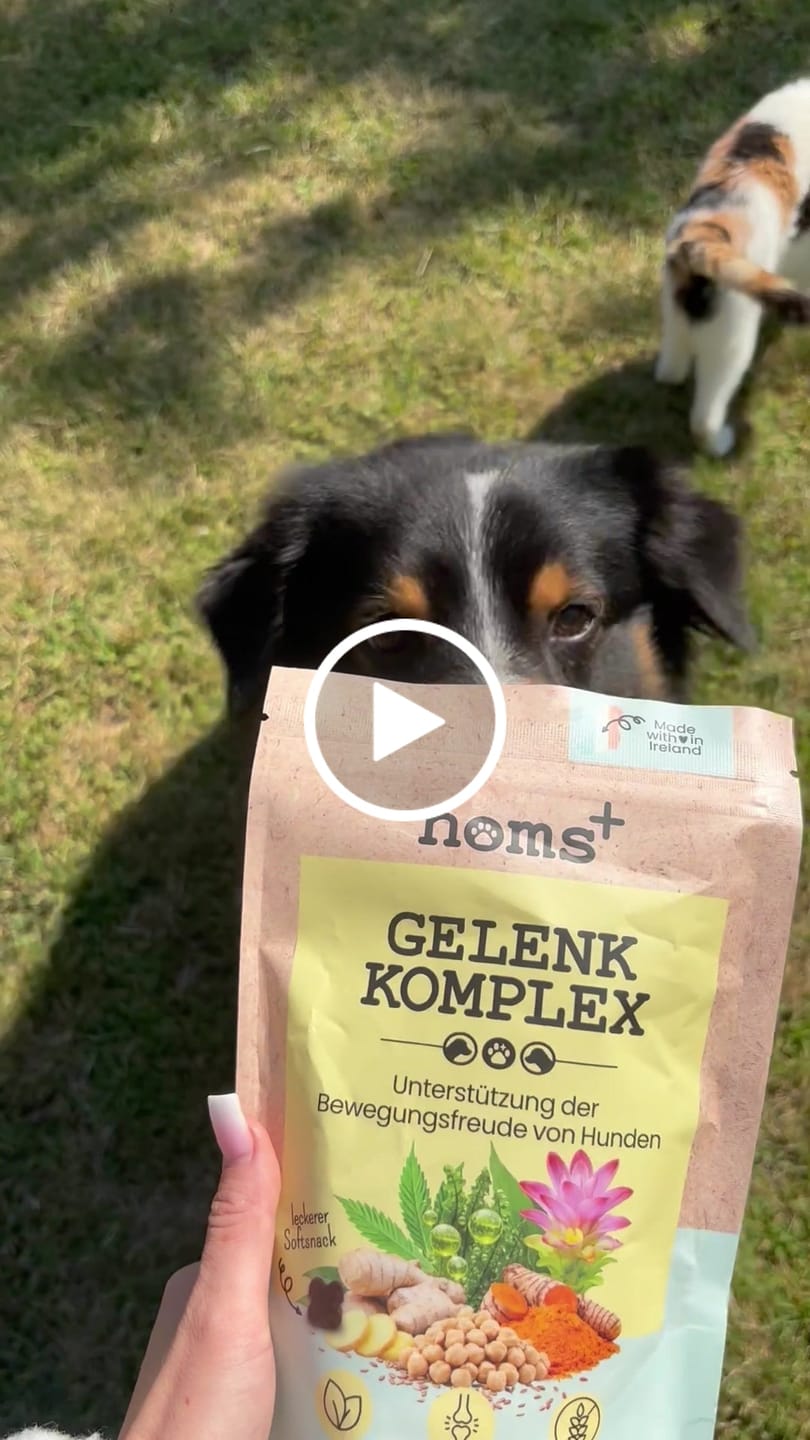Customer video review of Gelenk-Komplex für Hunde