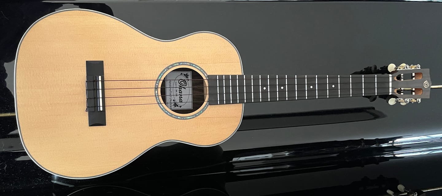 Customer photo review of BB Worth Brown Baritone Ukulele Strings DGBE Tuning Fluorocarbon 2 Restrings per Packet