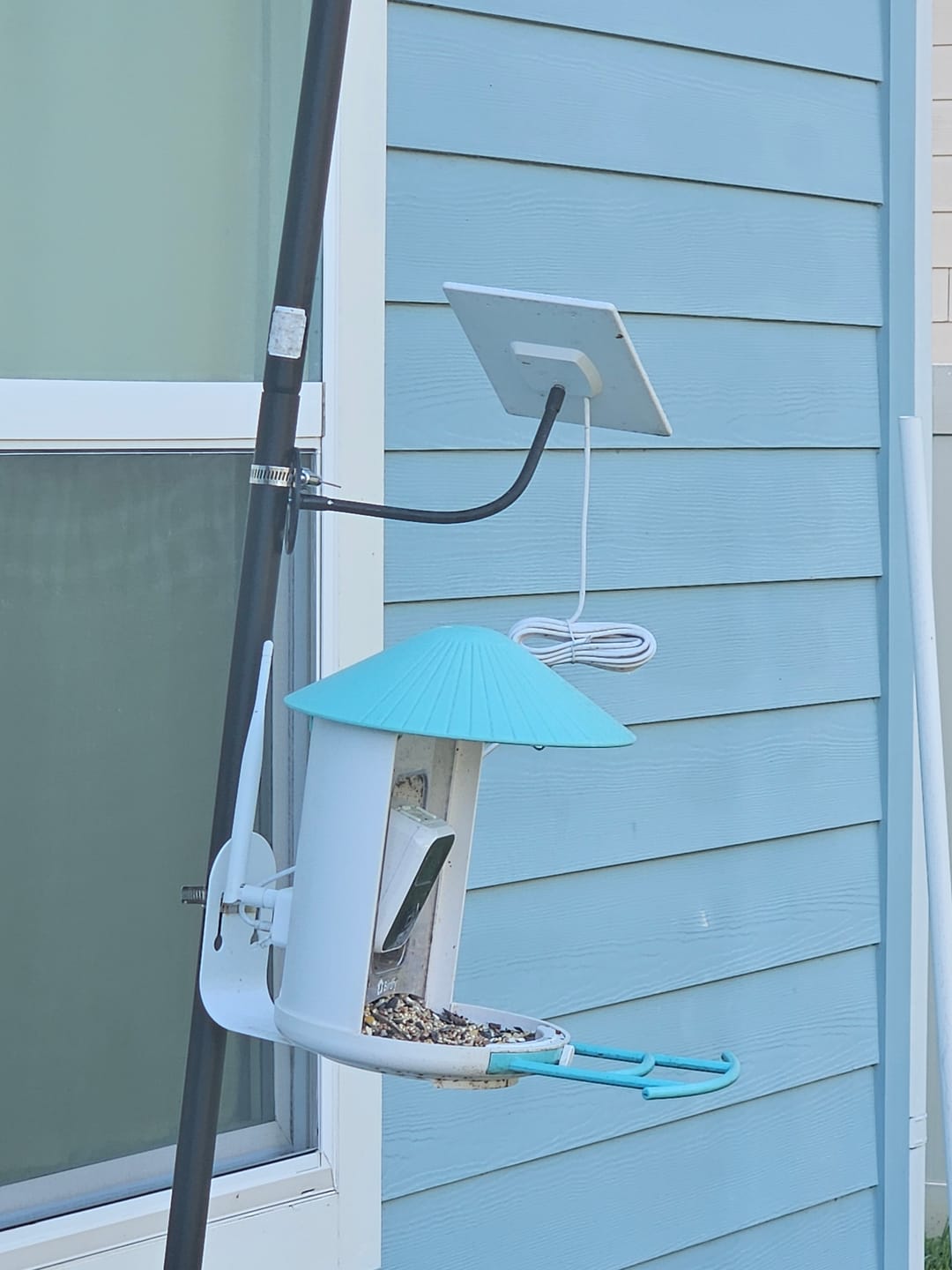 Customer photo review of Birdfy Feeder - Smart Bird Feeder with Camera Standard Kit