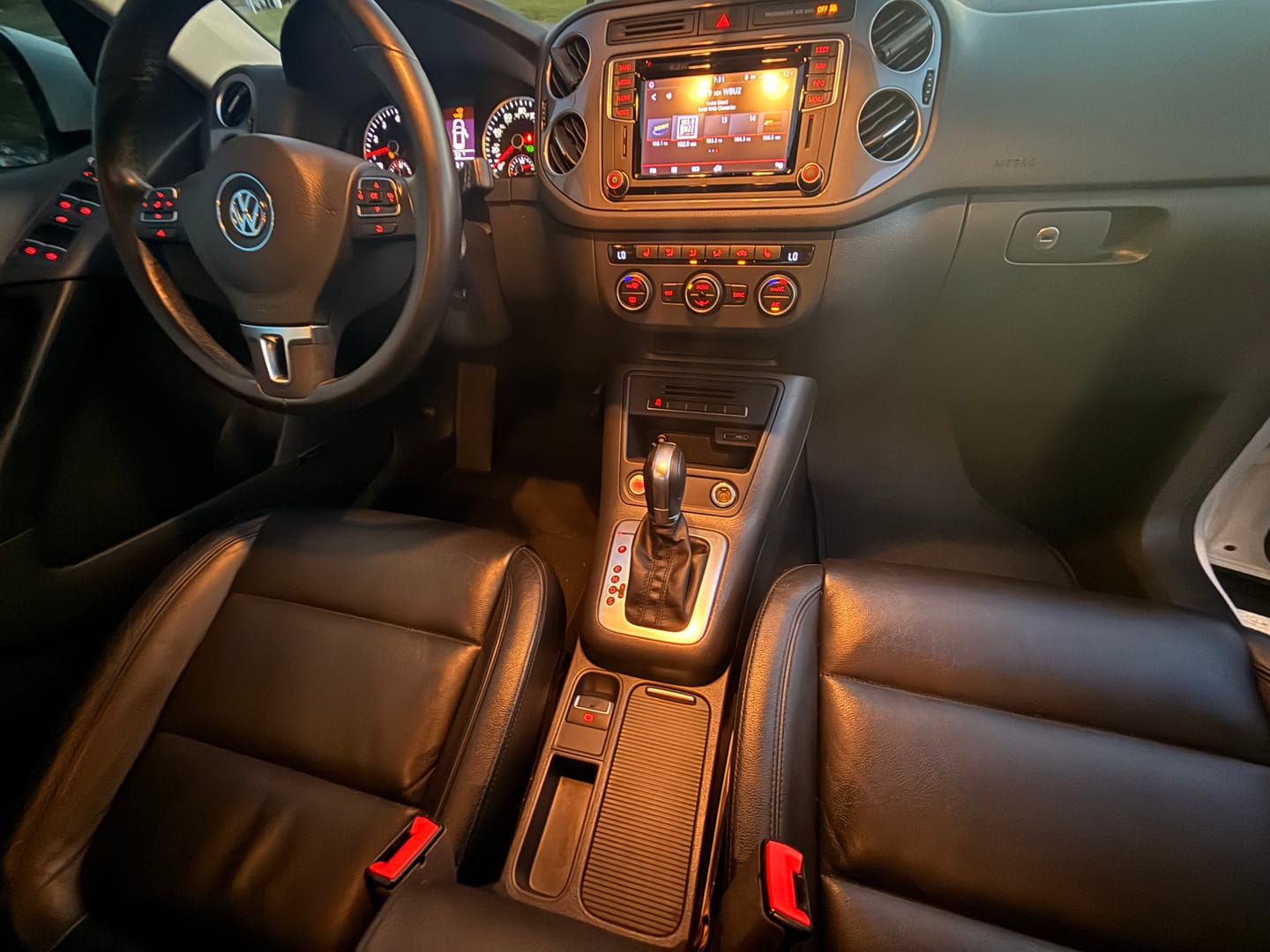 Customer photo review of PILOT - Interior Detailer