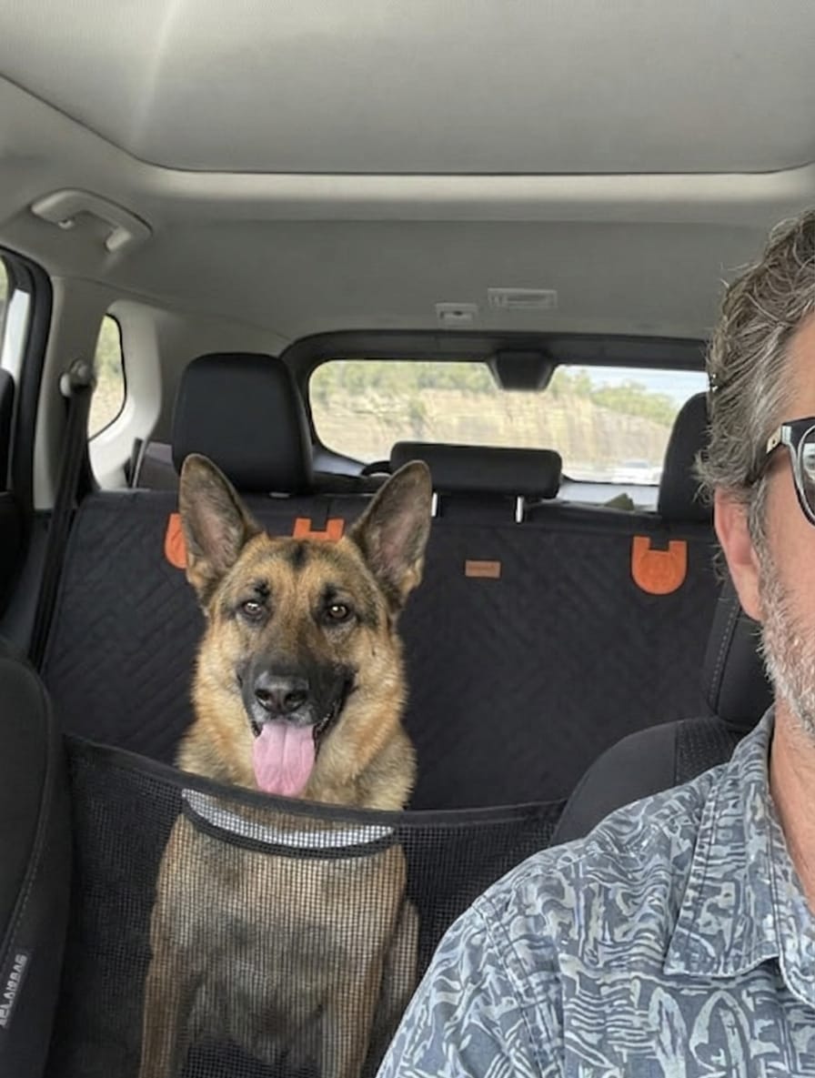 Customer photo review of Wagsy Co Dog Seat Cover