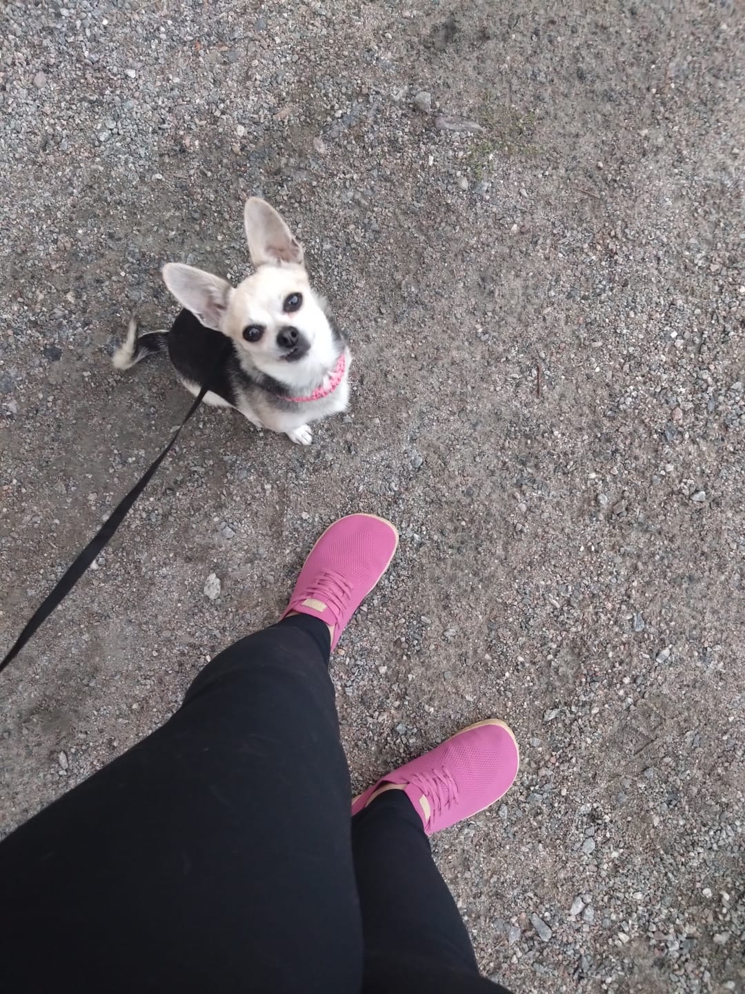 Customer photo review of Vaistoa Iloa | Knitted Barefoot Sneakers