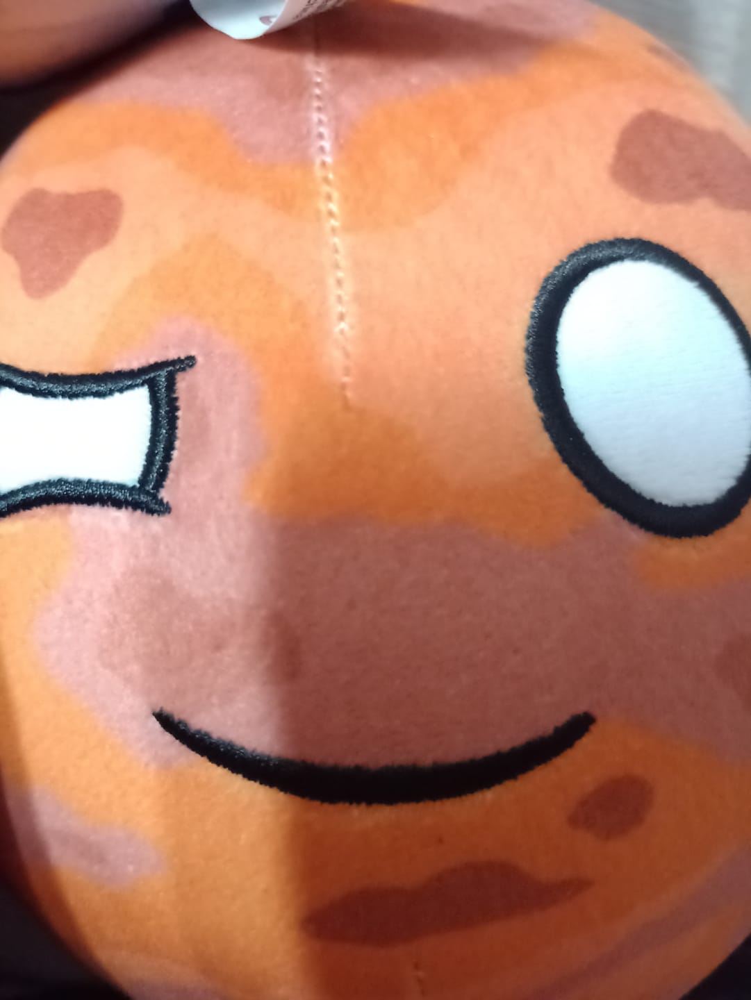 Customer photo review of The SolarBalls Mars Plush