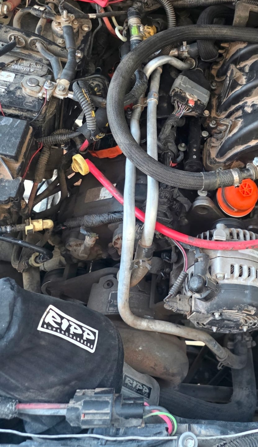 Customer photo review of Air Filter Sock for RIPP Supercharger Air Filters