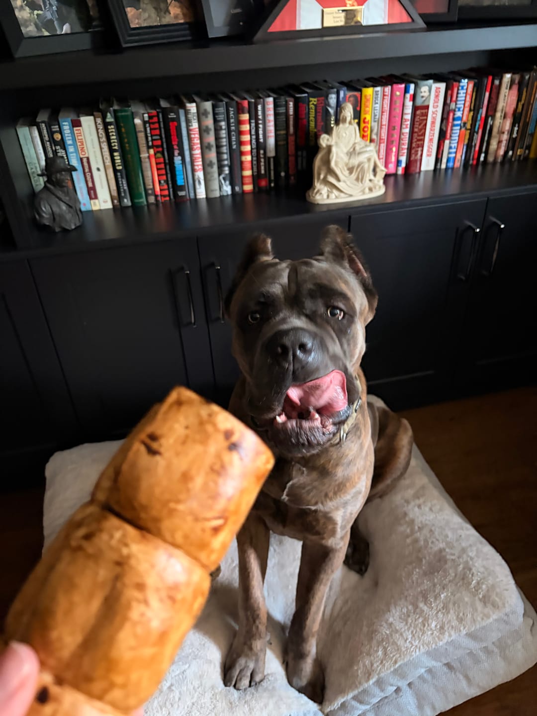Customer photo review of 5-6 Inch Peanut Butter Cheek Roll