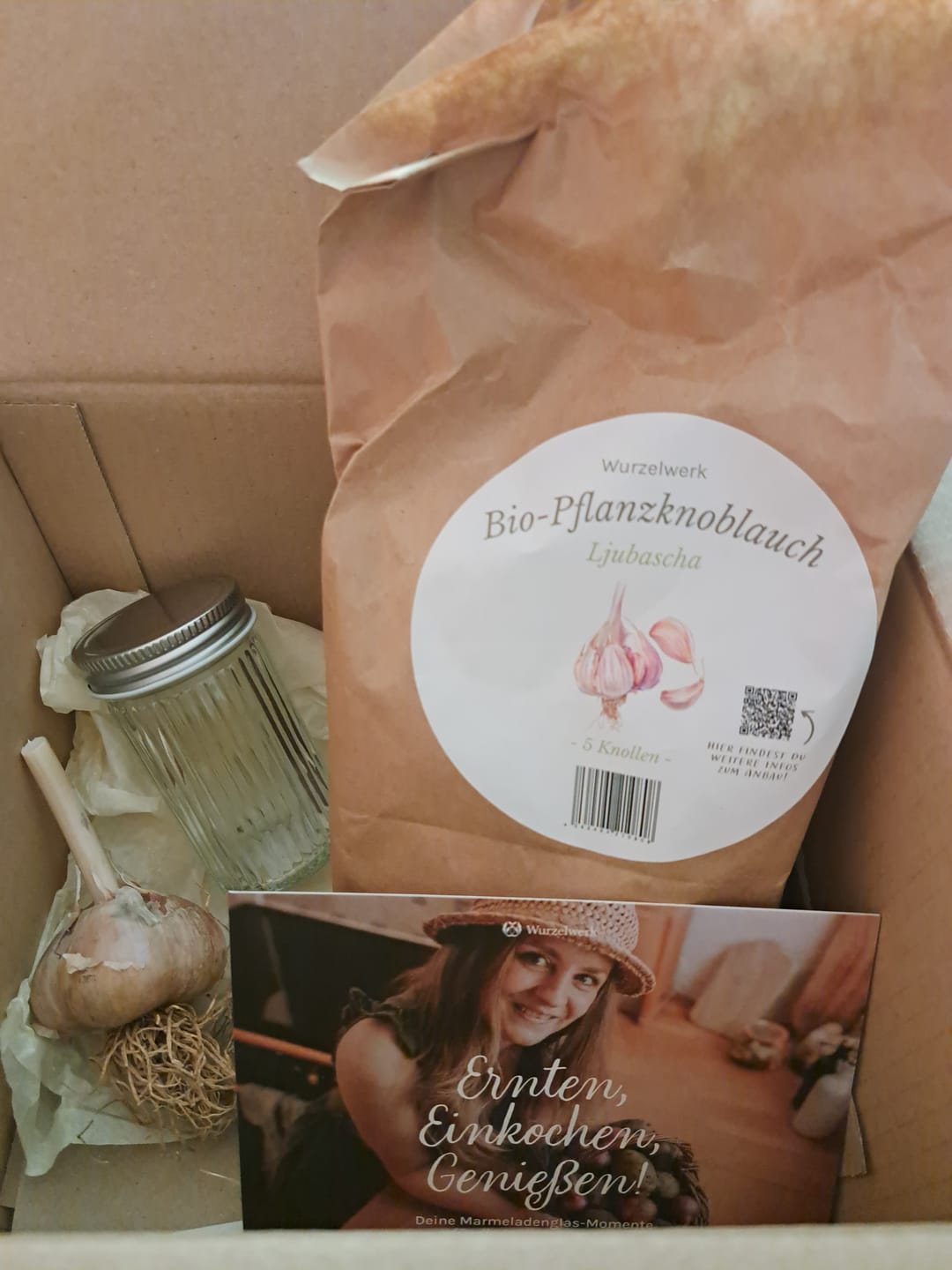 Customer photo review of Pflanzknoblauch ‘Ljubascha’: Bio-Pflanzgut aus Erhaltungsanbau