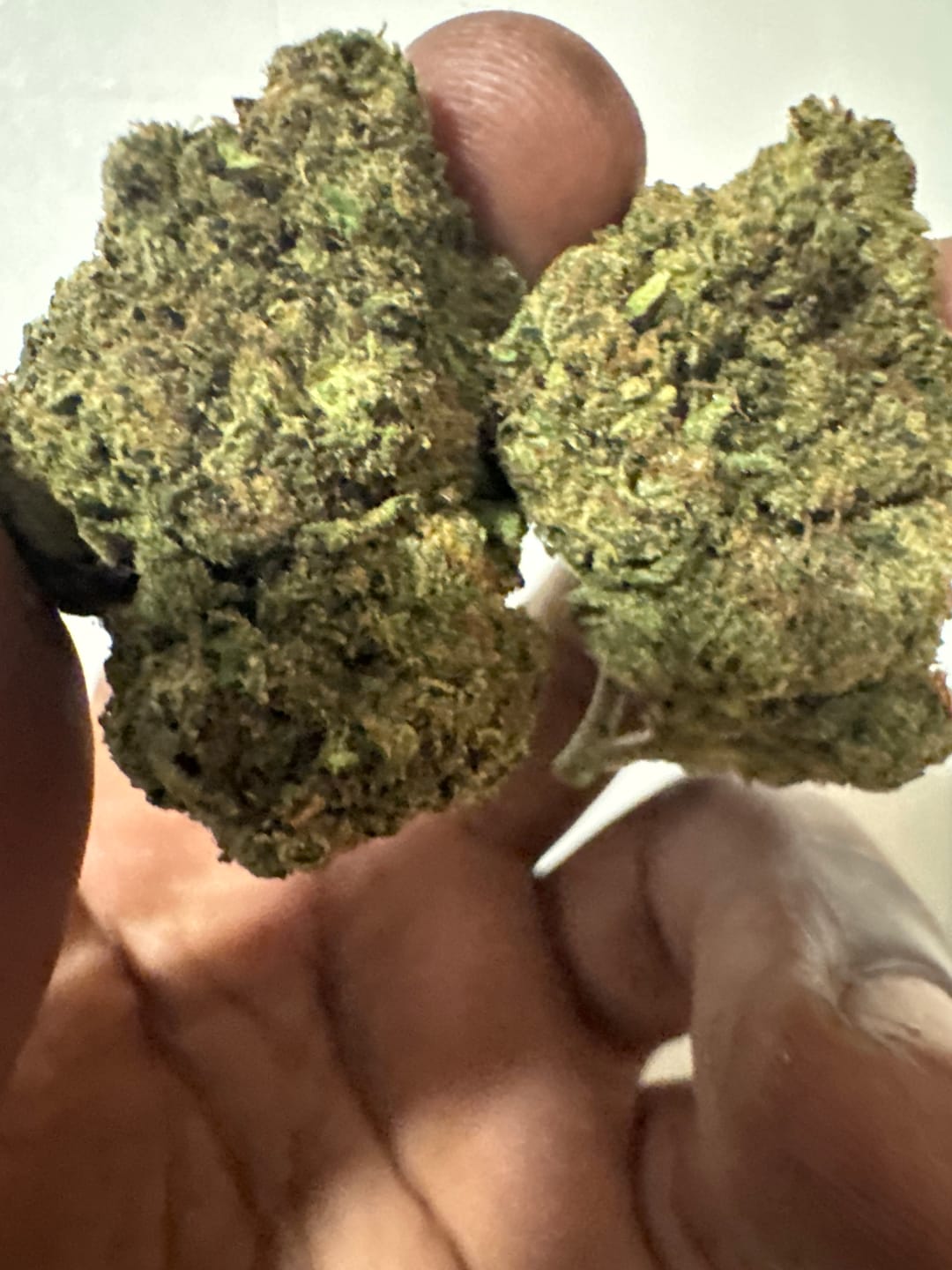 Customer photo review of Champelli THCA Flower