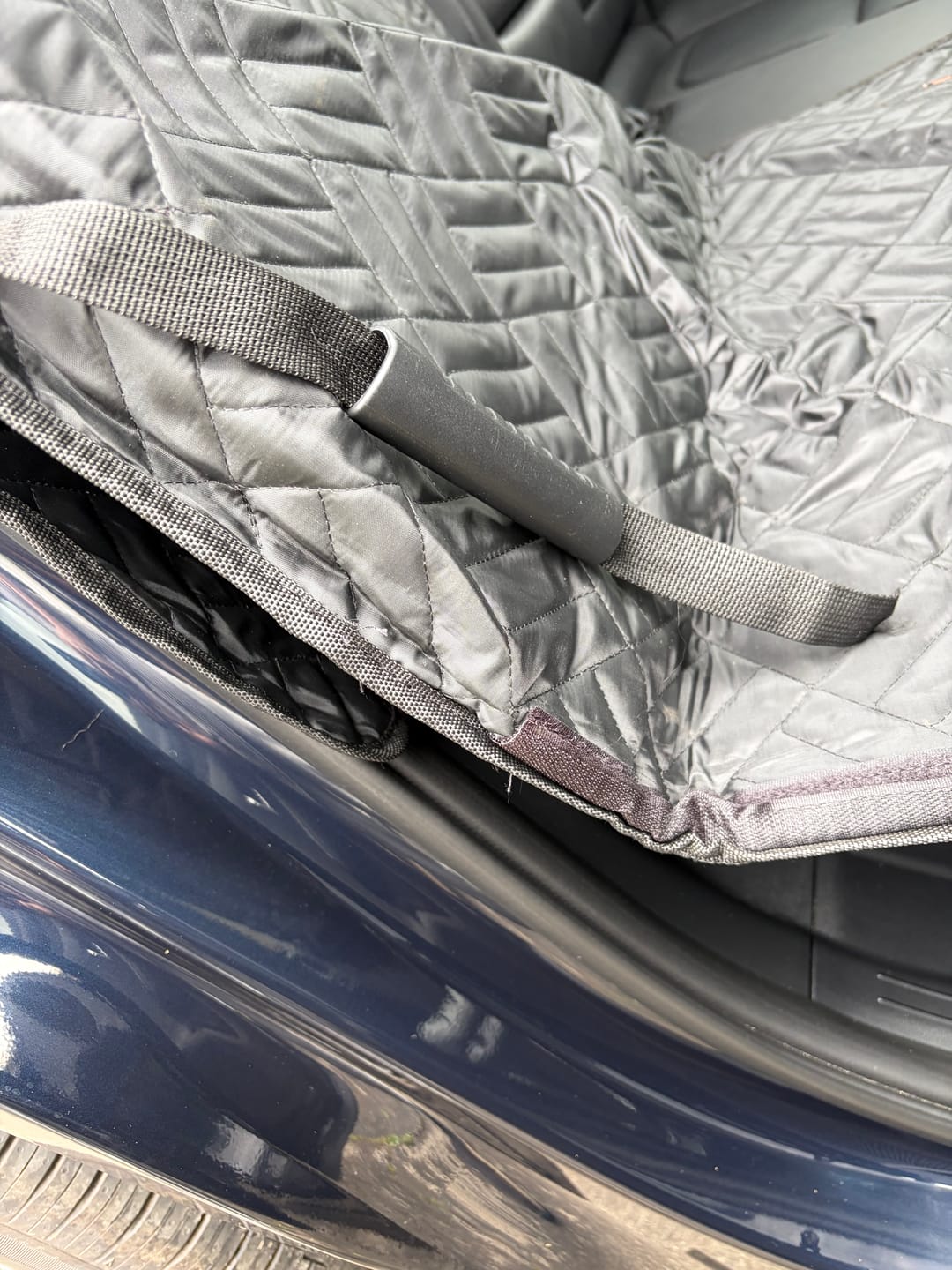 Customer photo review of Companion&Co™ Hard Bottom Car Seat Cover