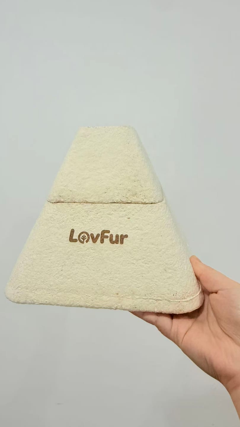Customer photo review of LovFur™ Eternal Pyramid Mycelium Urn