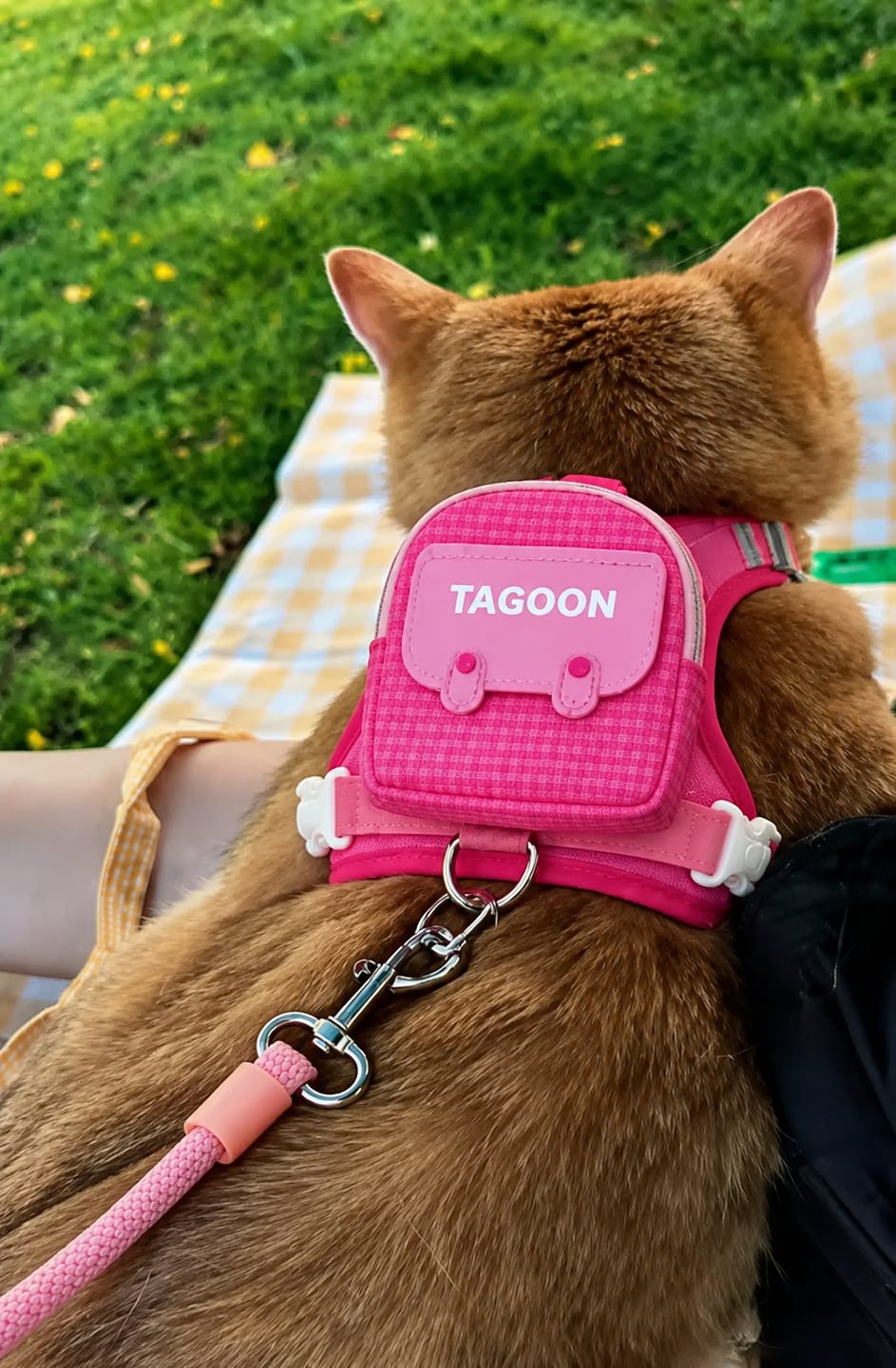 Customer photo review of PACKiTAIL™ Pet Backpack Harness