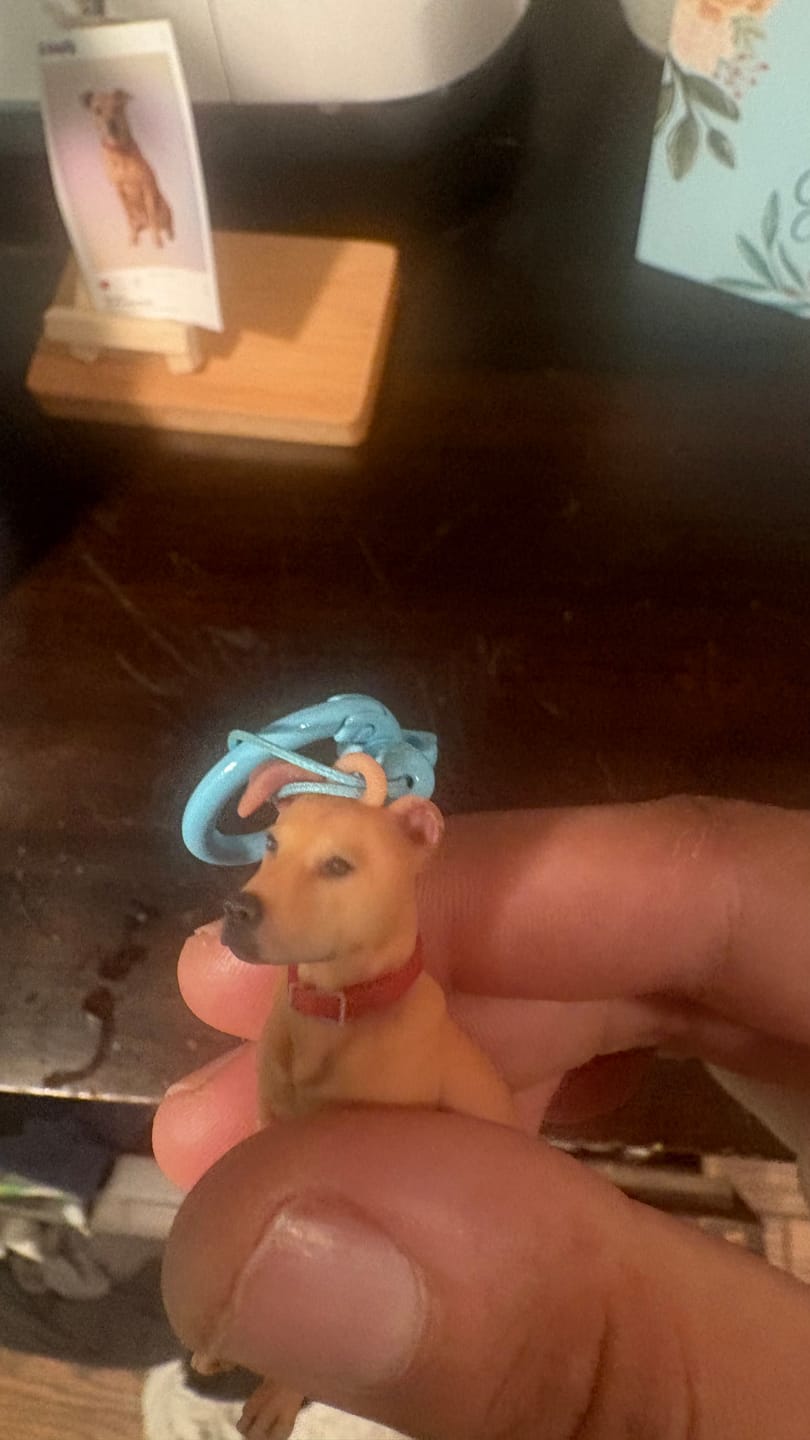 Customer photo review of Custom Pet Keychain & Bag Charm - 3D Figure from Your Photo