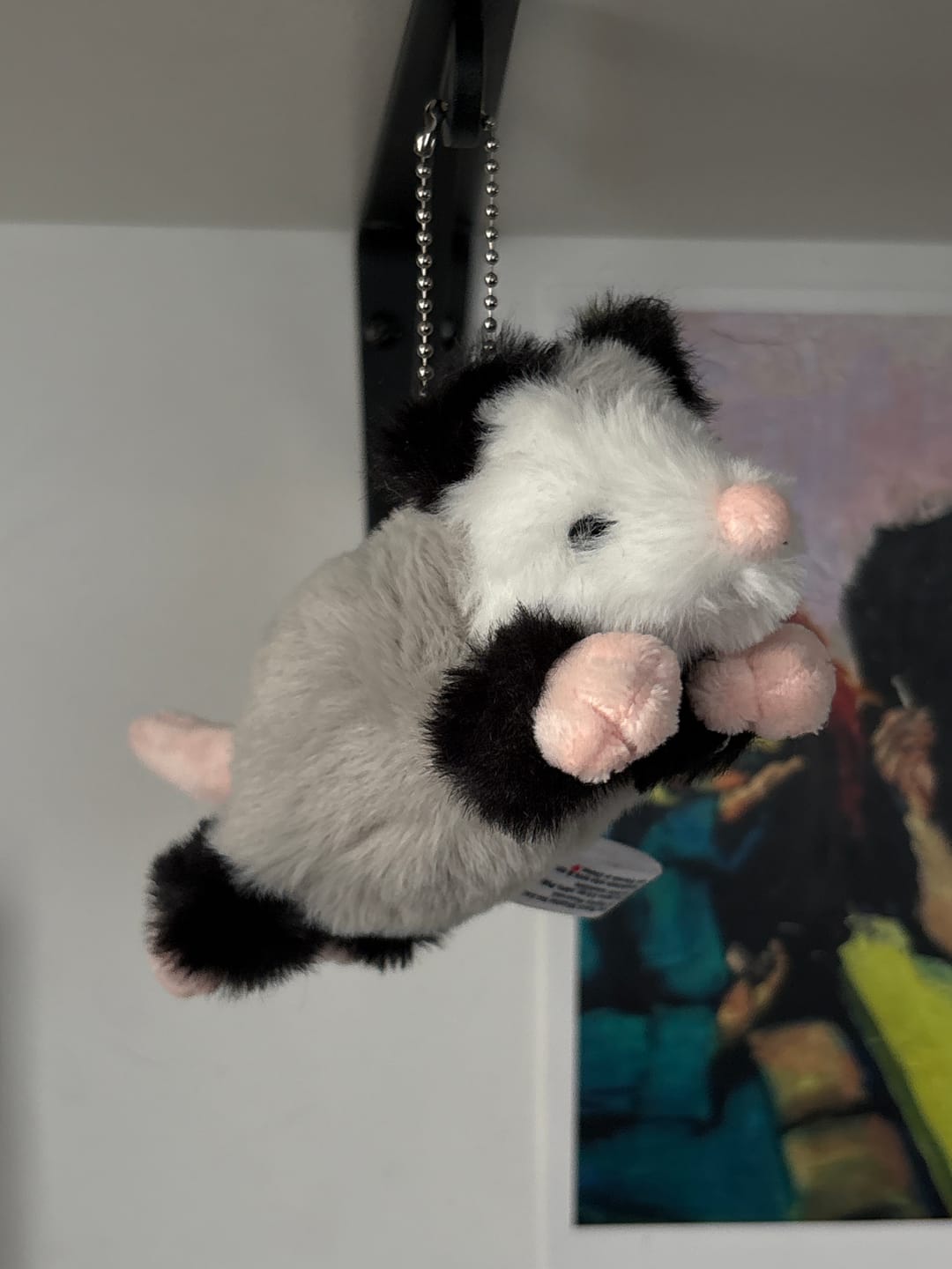 Customer photo review of Forgotten Peter the Opossum