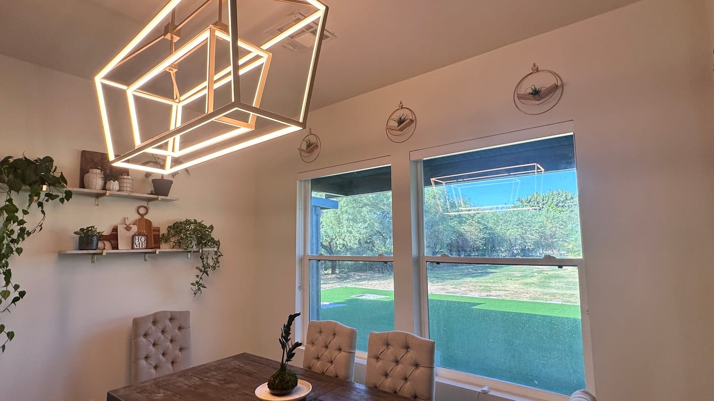 Customer photo review of Air Plant V-Hanger Trio