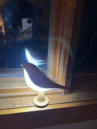 Customer's Glow Bird light sitting on a wooden windowsill, casting a soft, bright glow in a dimly lit room.