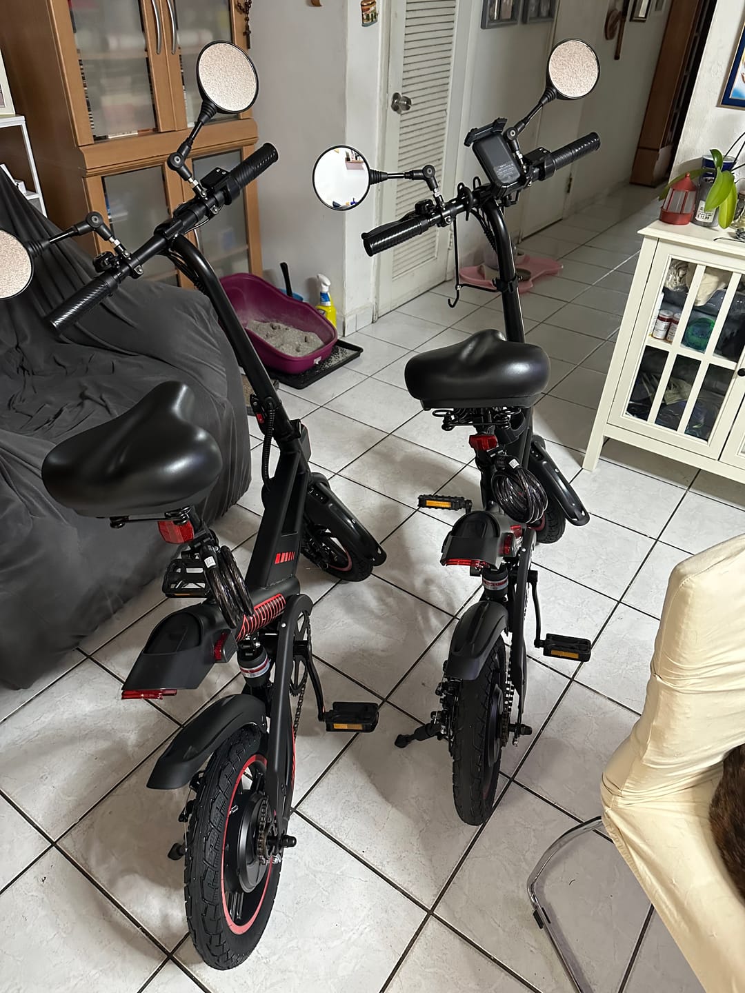 Customer photo review of Gyroor C3 Electric Bike 700W(Peak) with 14inch Tires