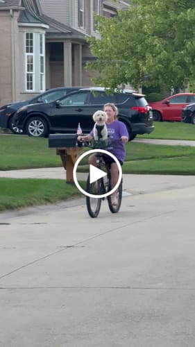 Customer video review of Kvisp Dog Bike Carrier