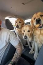 Customer photo review of Educación Vial Canina