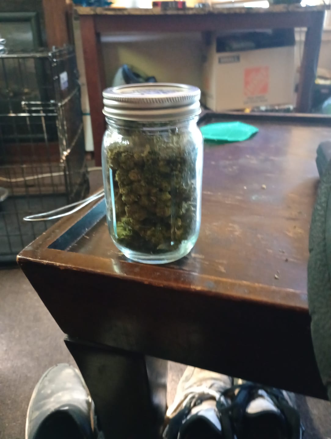 Customer photo review of Sour Tangie - Bulk - Sativa