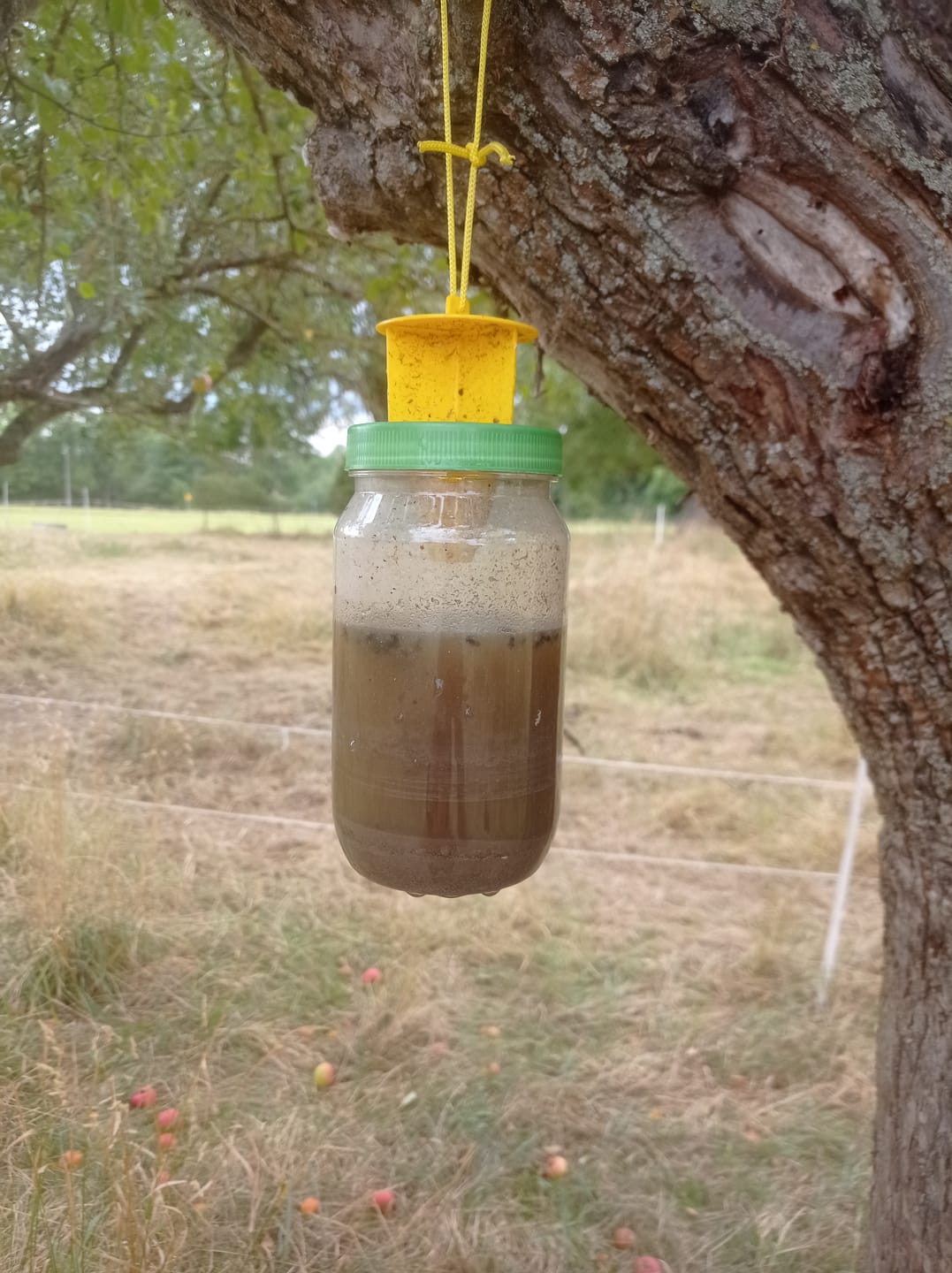 Customer photo review of HorseSafe LiquidTrap – Schluss mit Fliegenstress auf deinem Hof