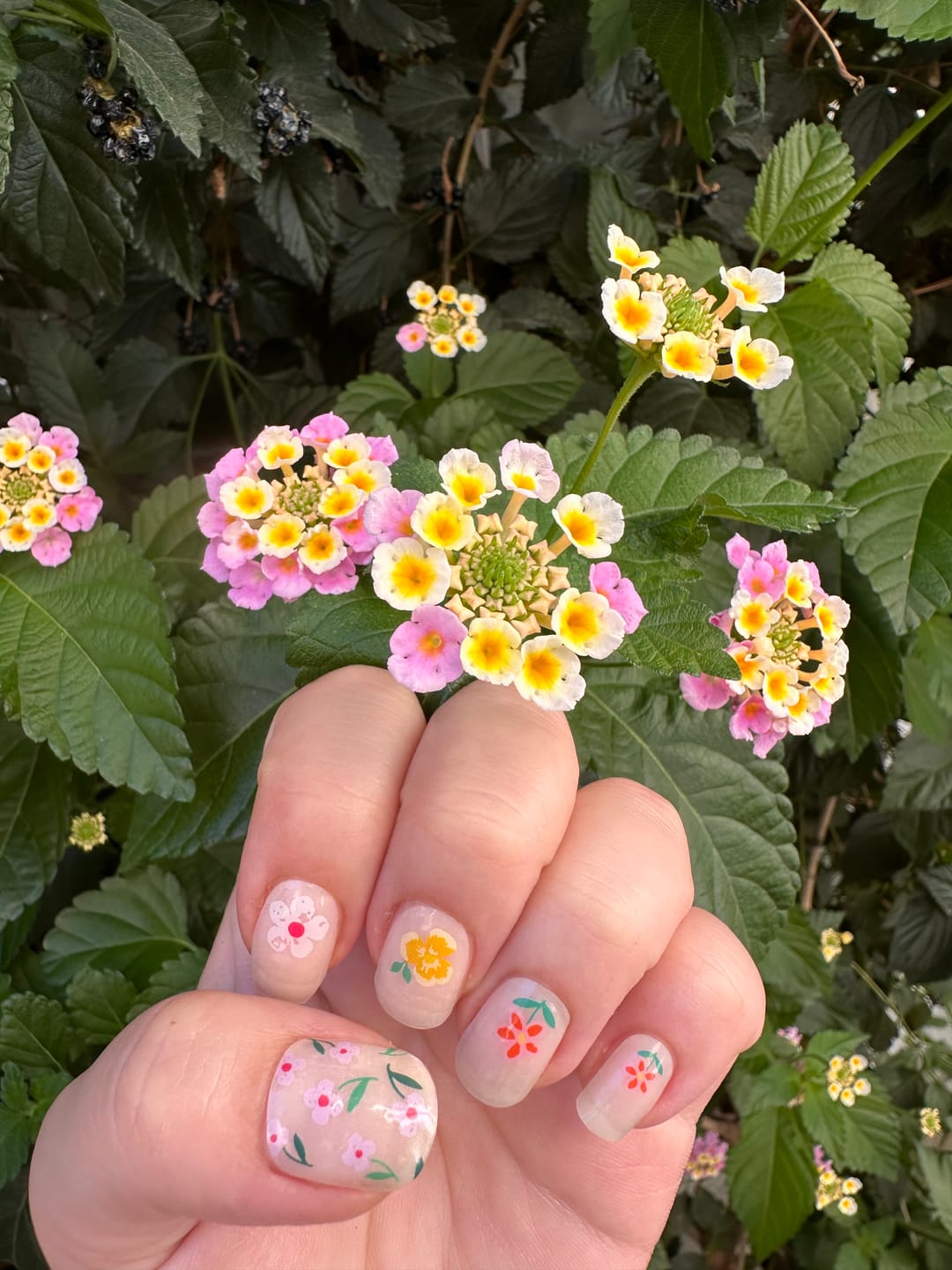 Customer photo review of N Flower Power Jel Tırnak 30 Adet, 2 Kullanım