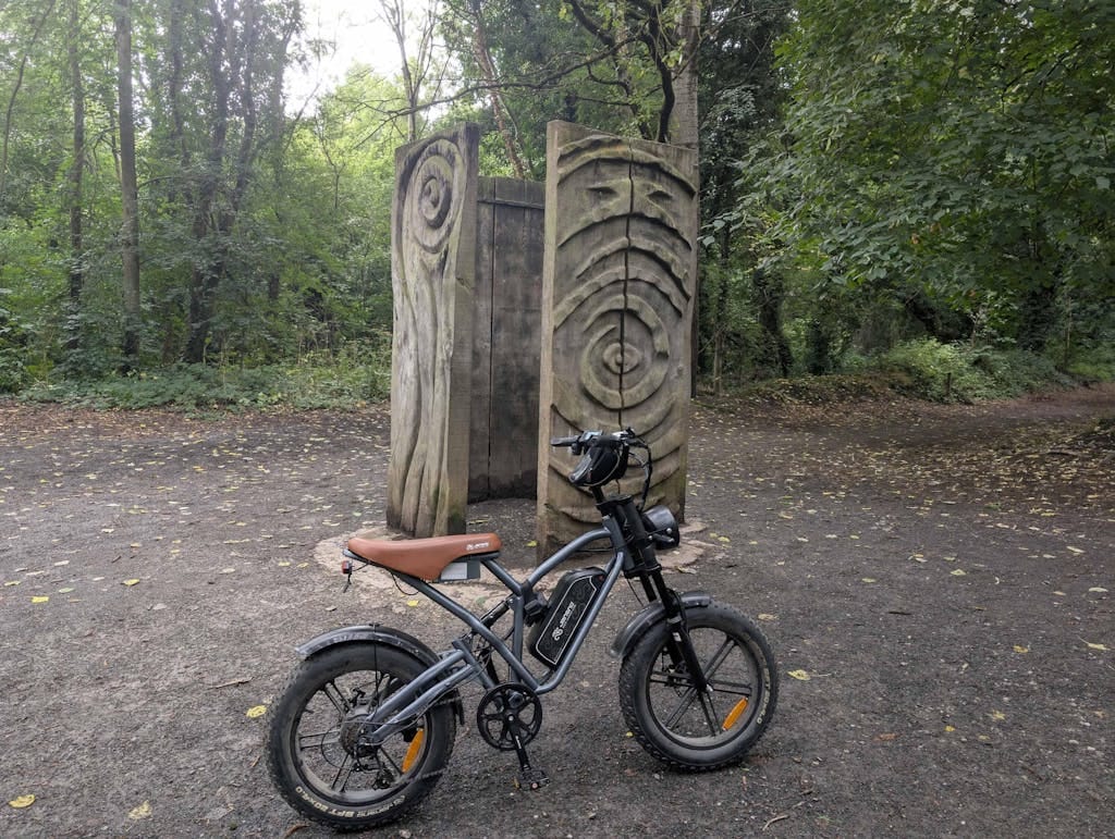 Customer photo review of JANSNO X50 Fat Tire Electric Bike
