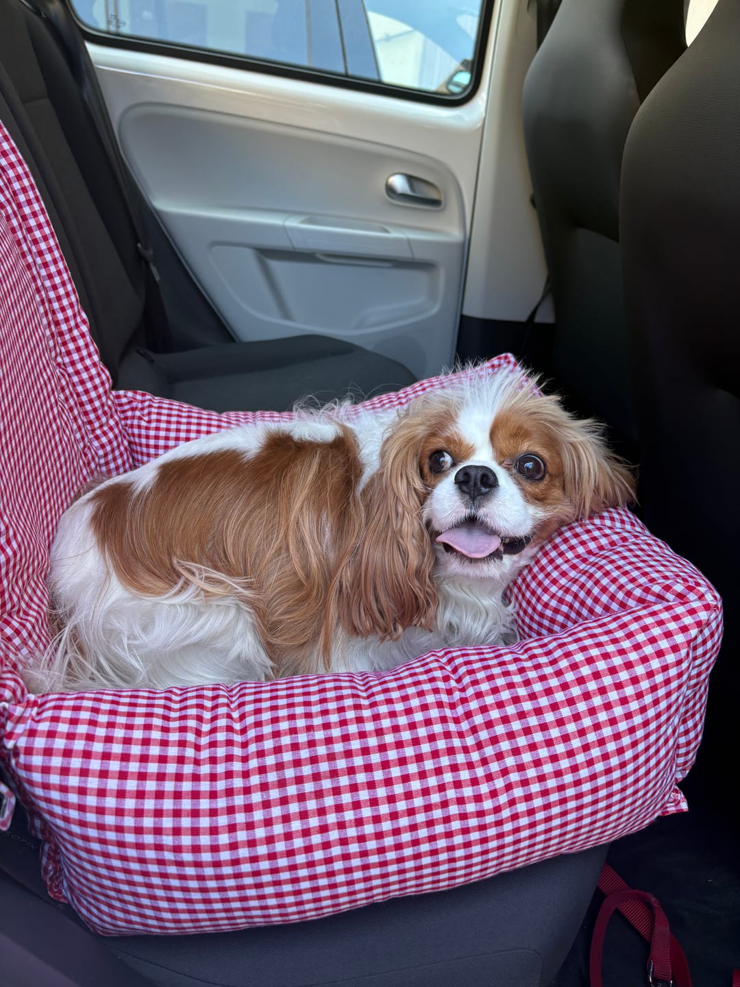 Customer photo review of Seggiolino Auto Cotone Vichy Rosso